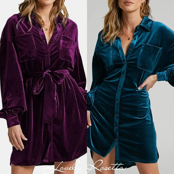 Velvet Button-Down Dress in Brown - Picture 6 of 7